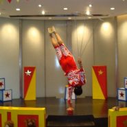 Chinese Acrobatic Power Plus by Dance China New York
