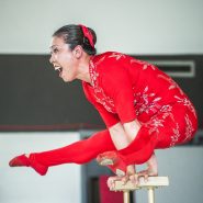 Li Liu - Traditions of Chinese Acrobatics